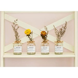 Bulk <b>Small</b> Glass Flower Vases with Rattan Rope Bow Mini Clear Hydroponic <b>Bottle</b> for Wedding Centerpieces Party Table Decor Vases - Product Image 2