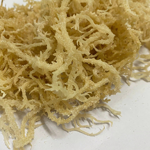 สาหร่ายมอสคุณภาพดีที่สุด / สาหร่ายมอสไอริชจากเวียดนาม / คุณลิลลี่ - Product Image 1