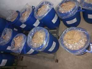 Extracto de hojas de Senna, Cassia angustifolia, extracto de Senna alejandrina, laxante Swarnapatri - Product Image 4