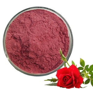 Polvo de Rosa a Granel de Grado Alimenticio, Polvo Floral Comestible Puro para Bebidas, Repostería, Postres, Helados y Smoothies de la India - Product Image 3
