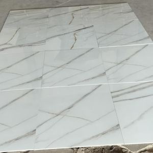 Baldosas de Porcelana Sofita Mix 60x60cm, Acabado Brillante, Imitación Piedra, para Uso Interior - Product Image 4