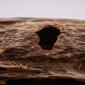 Agarwood Raw Material for Distillation - Product Image 6