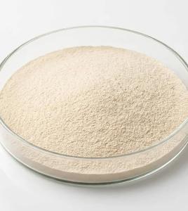 Extrait d'enzyme végétale à haute activité en poudre, ingrédient enzymatique commercial pour la production et le traitement alimentaire en vrac - Product Image 1