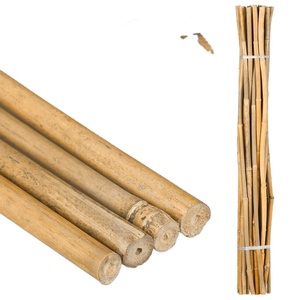 Meilleur prix pour les piquets de bambou cannes/piquets de bambou pour le jardin fabriqué au Vietnam par Eco2go Vietnam - Product Image 1