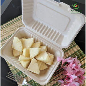 Conteneur en bagasse biodégradable avec couvercle pour la livraison de repas et les restaurants - Product Image 6