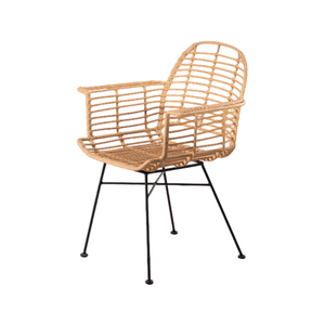Silla de Jardín Contemporánea de Ratán con Patas de Metal, Muebles de Exterior, Diseño Duradero, Estilo de Pata Cónica - Product Image 2