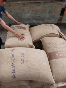 Café en Grano Verde Grado 1, Proceso Honey, Robusta, Aroma Dulce y Afrutado, Sabor Suave, Proveedor de Café a Granel, 60 kg/bolsa - Product Image 5