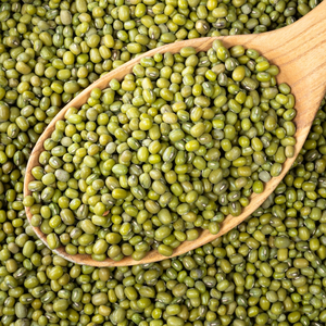 Proveedor de Proteína Vegetal Saludable que Ofrece Frijoles Mung Verdes en Forma Seca con Limpieza Avanzada y Soporte para Empaque de Exportación - Product Image 1