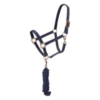 Ensemble de licols et rênes rembourrés en nylon pour chevaux, réglables, pour l'entraînement équestre, avec ferrures or rose, vente en gros, fournisseur