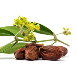 Huile de jojoba |   Fournisseur en gros d'huiles végétales de première qualité, fabricant OEM et marque privée - Product Image 5