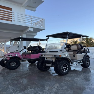 Carrito de Golf Ligero con Asiento, Sistema Eléctrico de 48V, Diseñado para un Viaje Suave en el Campo, Resort y Experiencia de Conducción al Aire Libre - Product Image 4