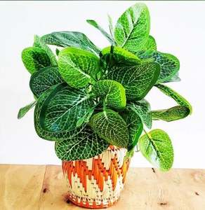 Maceta de hierba Moonj hecha a mano y natural - Product Image 1