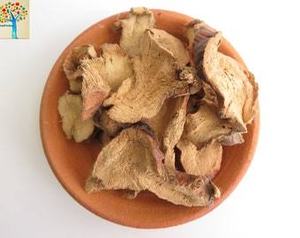 Galangal (Frais) Entier/Tranché 100% Naturel Certifié FSSAI Durée de Conservation de 12 Mois NIRVAN GLOBAL pour les currys d'Asie du Sud-Est - Product Image 2
