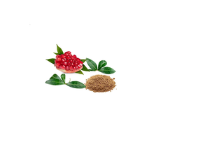Extracto de Semillas de Sahijeen 1% en Polvo Herbal Estandarizado para Apoyo Natural a la Salud, Refuerzo del Sistema Inmunológico y Bienestar General - Product Image 1