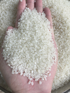 Riz japonais Shiratake (Konjac) faible en calories, riche en fibres, adapté aux diabétiques, riz instantané, commande en gros - Product Image 4