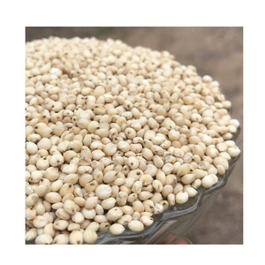 บริการ OEM คุณภาพพรีเมียม ขายส่งข้าวฟ่างเกรดอาหาร พร้อมส่ง คุณภาพสูงสุด จำหน่ายส่งออกจำนวนมาก - Product Image 5