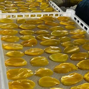 Tranches de mangue séchées sous vide KIM MINH INTERNATIONAL AD de qualité supérieure, provenant du Vietnam, texture douce et sucrée - Product Image 2