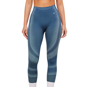 Leggings sans couture à taille haute pour femmes, dégradé bleu, pantalon de yoga compressif pour la salle de sport, l'entraînement et la performance physique - Product Image 1