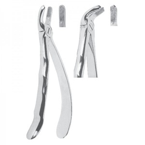 Forceps dentaire manuel ergonomique de base pour extraction chirurgicale, modèle anglais premium pour adultes et enfants - Product Image 2