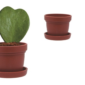 Mini-pots de fleurs pour plantes succulentes et cactus vivantes, 1 pouce, plastique PP, certification ISO9001, vente en gros - Product Image 4