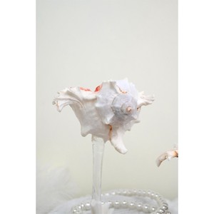 Hot selling sea shell wine glass enhances presentation in hospitality settings designed with attention to modern trends - Product Image 4