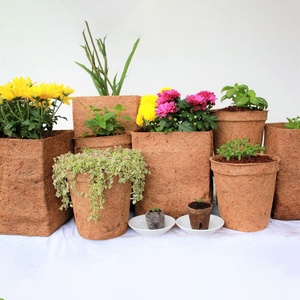Jardinière de noix de coco du Vietnam biodégradable et écologique, pots compressés en coco naturel, prêt à être expédié - Product Image 2
