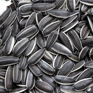 High Grade Sunflower <b>Seeds</b> Vacuum <b>Packed</b> for Export Shipments and Long Duration Storage - Product Image 3