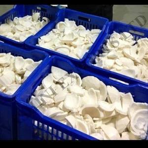 Viande de noix de coco congelée de qualité export, cubes de noix de coco frais prêts à consommer, fabricant - Product Image 4