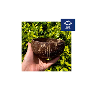 Prêt à expédier – Bol en coque de noix de coco écologique, sûr et propre, 100 % végétal, idéal pour les sauces et les plats de fête – Prix avantageux - Product Image 1