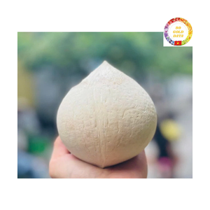 Young Coconut | Ball Shape | <b>Soft</b> Flesh & Sweet Water | Easy Open | OEM Supplier Vietnam - Product Image 2