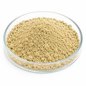 Extracto de Espárragos Adscendens en Polvo a Granel, Extracto Botánico de Alta Calidad para Aplicaciones Ayurvédicas y Nutracéuticas OEM - Product Image 4