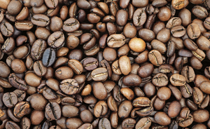 Café Milano Pur Robusta en Grains 1kg Torréfaction Légère Full City + Vietnam OEM Sachet 5% Humidité Durée de Conservation 1 An Broyé - Product Image 2