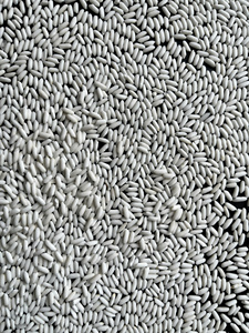 Arroz Glutinoso Jazmín Premium Seco de Alta Calidad, Nueva Cosecha, Marca South Mekong, Alimentos para Postres Tradicionales, 24 Meses de Caducidad - Product Image 1