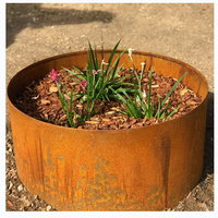 Jardinière carrée surélevée en acier Corten sur mesure pour arbres et plantes d'extérieur