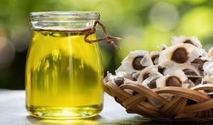 Aceite de Moringa Premium para Cabello, Piel y Cuerpo, Ligero, No Pegajoso, para Cuidado Diario, Promueve la Suavidad y el Brillo, Exportación a Granel - Product Image 3