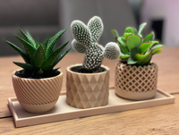 Servicio de Impresión 3D FDM OEM, Prototipos de Macetas de Madera Personalizadas con Filamento PLA para Aplicaciones Artísticas, Industriales, Automotrices y de Exhibición