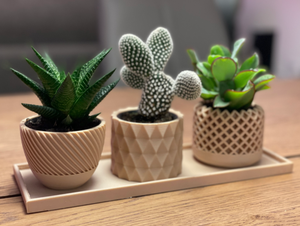 Dịch Vụ In 3D FDM OEM Nồi Hoa Sợi PLA Gỗ Theo Yêu Cầu Nguyên Mẫu In 3D - Product Image 6