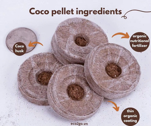 Pastilles de tourbe de coco compressée pour la germination des graines, blocs de culture pour pépinières, terreau nutritif, substrat de culture en fibre de coco - Product Image 2