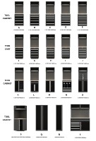 Armoire à outils durable à plusieurs tiroirs avec doublures de tiroirs en EVA pour studios de bricolage - Tailles personnalisées disponibles