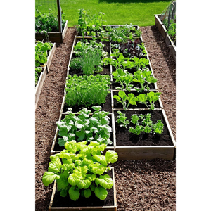 Jardinière surélevée écologique en bois massif pour légumes et fleurs, bac à plantes en cèdre pour le jardinage - Product Image 6