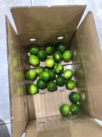 Vietnam Verse Pitloze Citroenen Zorgvuldig Geselecteerd Voor Export Gladde Huid Sappige Smaak Ideaal Voor Culinaire En Drankenindustrie