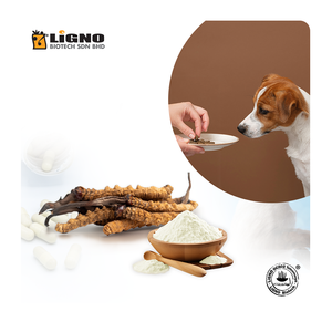 Polvo de Cordyceps para Suplementos de Mascotas - Potenciador de Energía y Resistencia para Perros y Gatos, Nutrición Animal - Malasia - Product Image 1