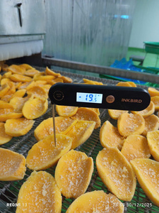 Mango Orgánico Congelado IQF en Rodajas, Envasado al Vacío, Natural, Sin Azúcar Añadido, para Smoothies, Helados y Postres - Product Image 6