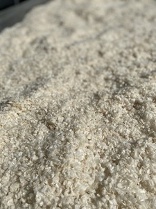 Proveedor de escamas de pescado de tilapia seca: escamas de pescado seco para la producción de colágeno de Vietnam/Sra. Lima - Product Image 3