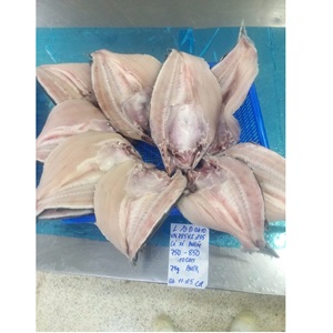 Filet de Pangasius Congelé VH Food Vietnam IQF Qualité Export Faible Teneur en Glucides Couleur Naturelle Peau Entière/Sans Peau Style Papillon Tailles 20-35 - Product Image 6