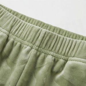 Conjunto de 2 Piezas para Mujer en Velour Verde Sólido, Top Corto con Cuello en V y Manga Larga, Shorts por Encima de la Rodilla, Estilo Casual Holgado para Primavera/Verano - Product Image 5