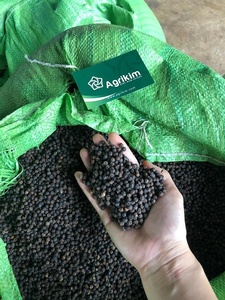 พริกไทยดำ ราคาถูกที่สุดจากเวียดนาม ผู้จัดจำหน่ายที่เชื่อถือได้ ติดต่อคุณโดริส +84 35 254 2206 - Product Image 5