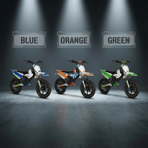 Mini Pit Bike Électrique Tout-Terrain en Acier de Haute Qualité, Moteur Brushless 60V 800W, Suspension Avant/Arrière, Vitesse Maximale 40-60km/h - Product Image 6