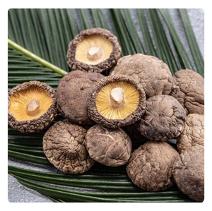 Cao cấp-Tốt nhất bán khô nấm <span class=keywords><strong>Shiitake</strong></span> từ Việt Nam-HOT HOT chất lượng - Product Image 6
