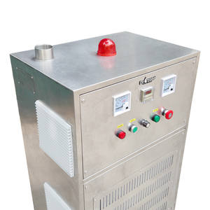 Generador de Ozono Industrial OEM, Máquina Sopladora de Alta Concentración, Control PLC, Suministro de Fábrica, Vietnam - Product Image 2